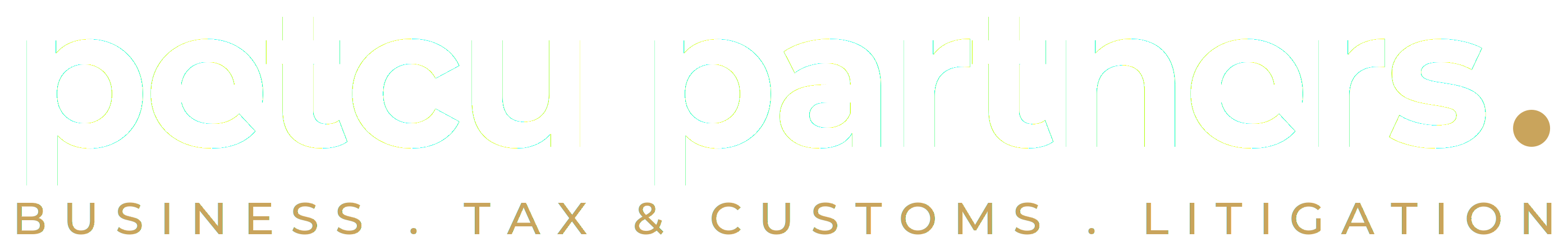 Petcu Partners